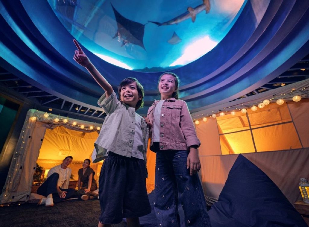 Singapore Oceanarium Relaunches “Ocean Dreams”: A Magical Overnight Glamping Experience Beneath the Waves - Alvinology