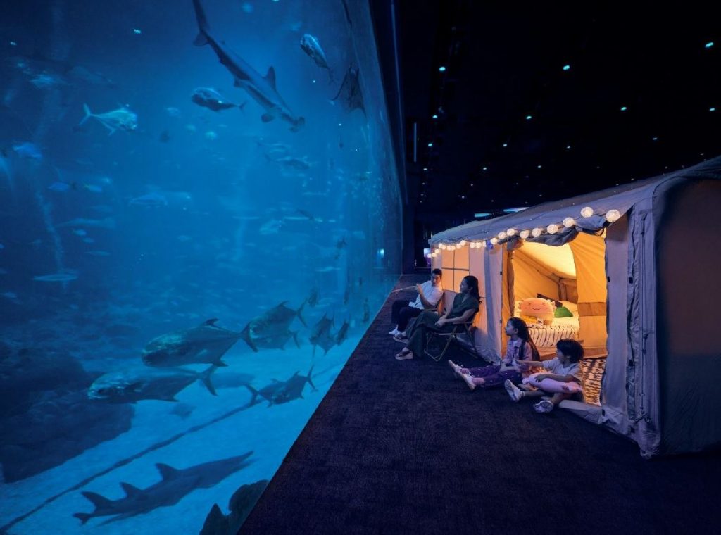 Singapore Oceanarium Relaunches “Ocean Dreams”: A Magical Overnight Glamping Experience Beneath the Waves - Alvinology