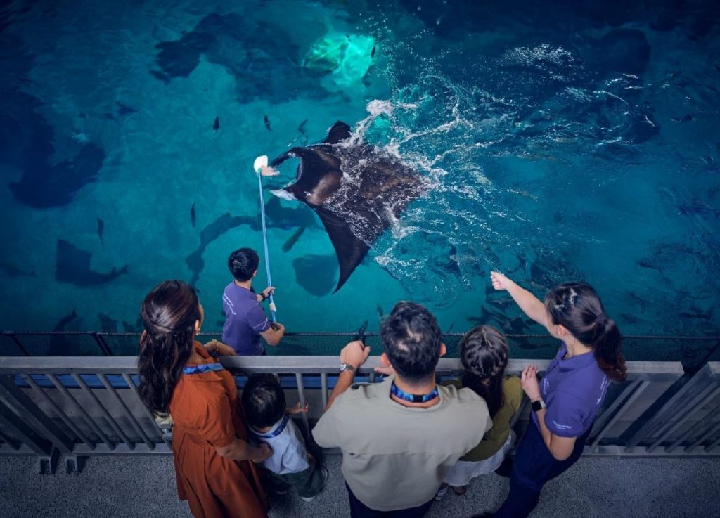 Singapore Oceanarium Relaunches “Ocean Dreams”: A Magical Overnight Glamping Experience Beneath the Waves - Alvinology