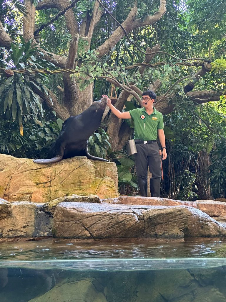 [Staycation Review] Is Mandai's 2D1N All-Inclusive Colugo Camp Glamping Experience Worth It? - Alvinology