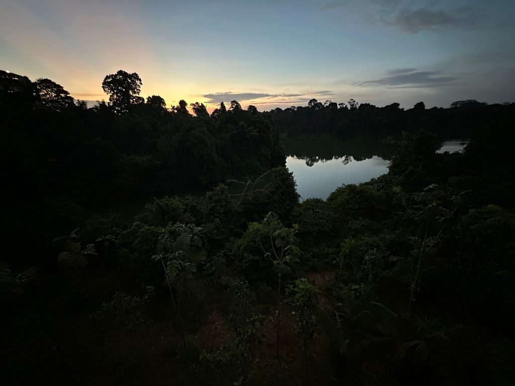 [Staycation Review] Is Mandai's 2D1N All-Inclusive Colugo Camp Glamping Experience Worth It? - Alvinology