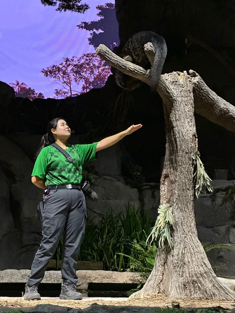 [Staycation Review] Is Mandai's 2D1N All-Inclusive Colugo Camp Glamping Experience Worth It? - Alvinology