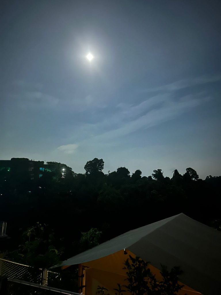 [Staycation Review] Is Mandai's 2D1N All-Inclusive Colugo Camp Glamping Experience Worth It? - Alvinology