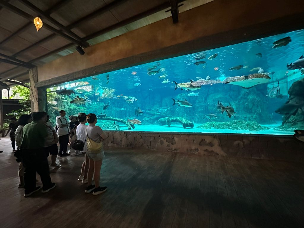 [Staycation Review] Is Mandai's 2D1N All-Inclusive Colugo Camp Glamping Experience Worth It? - Alvinology