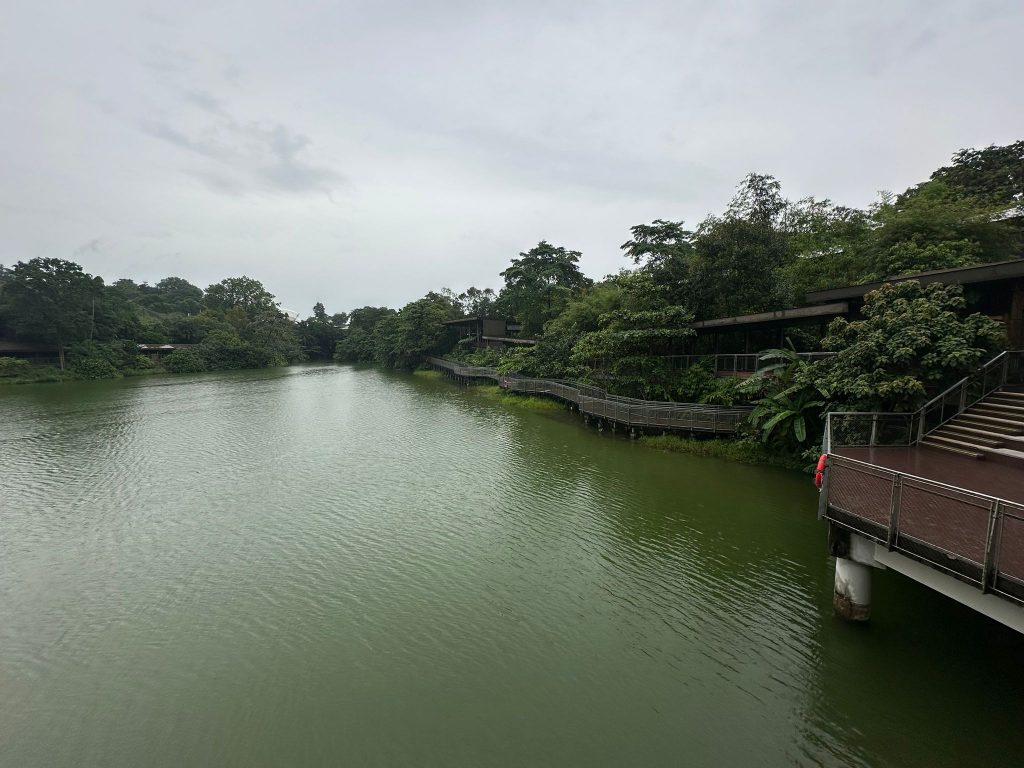 [Staycation Review] Is Mandai's 2D1N All-Inclusive Colugo Camp Glamping Experience Worth It? - Alvinology