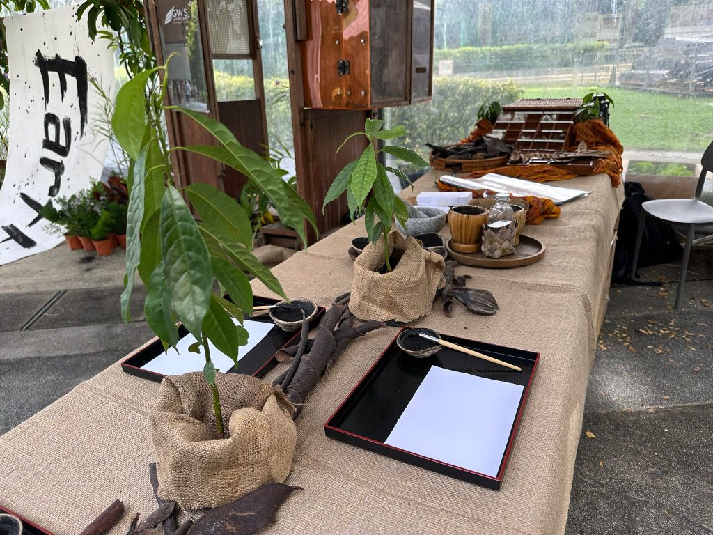 Tired of Talk? Earthopia Fest 2025 by City Sprouts and Just Keep Thinking is Where Singapore's Green Future Gets Hands-On This Weekend - Alvinology