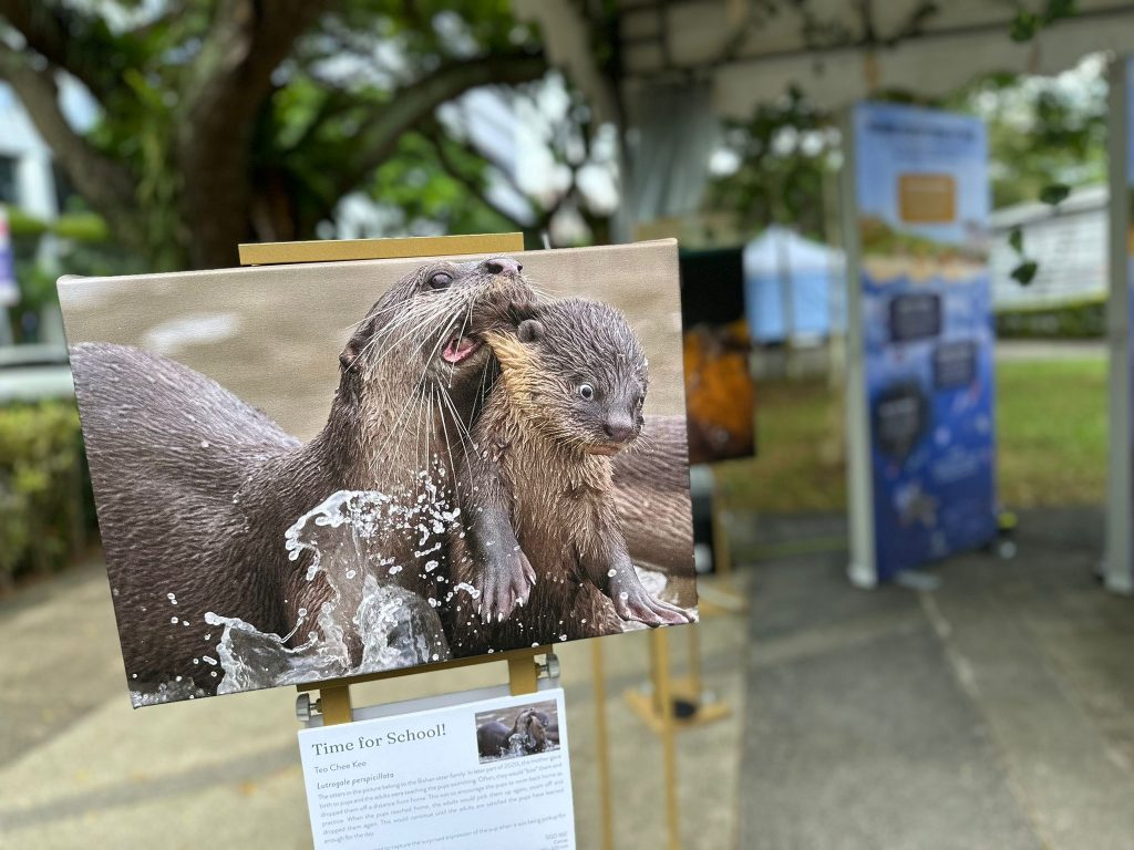Tired of Talk? Earthopia Fest 2025 by City Sprouts and Just Keep Thinking is Where Singapore's Green Future Gets Hands-On This Weekend - Alvinology