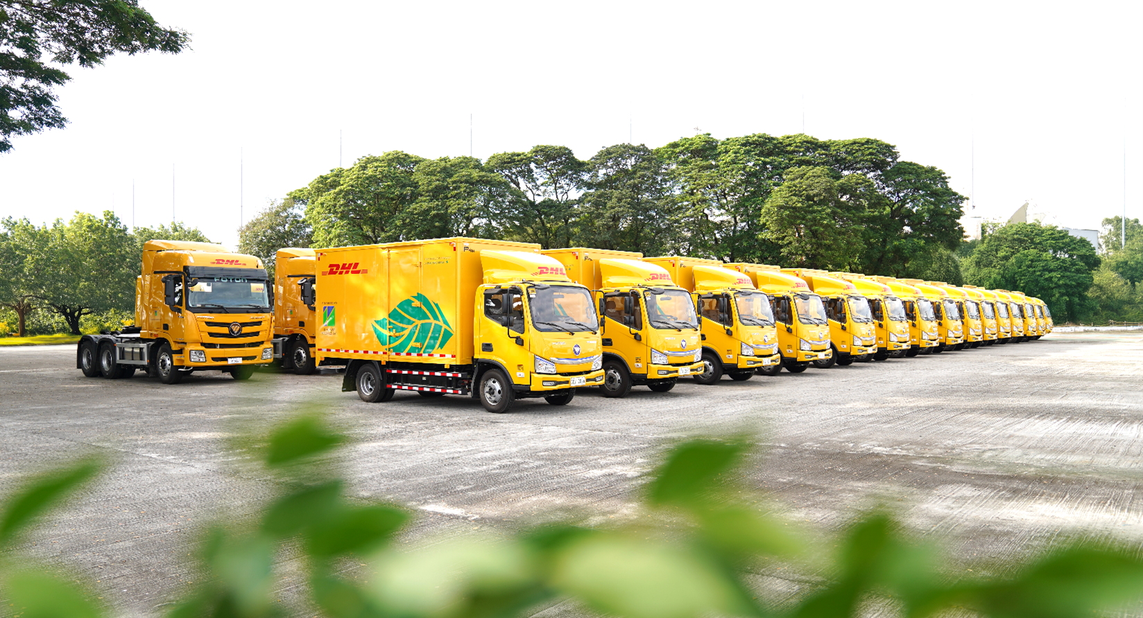 DSSI's EV fleet