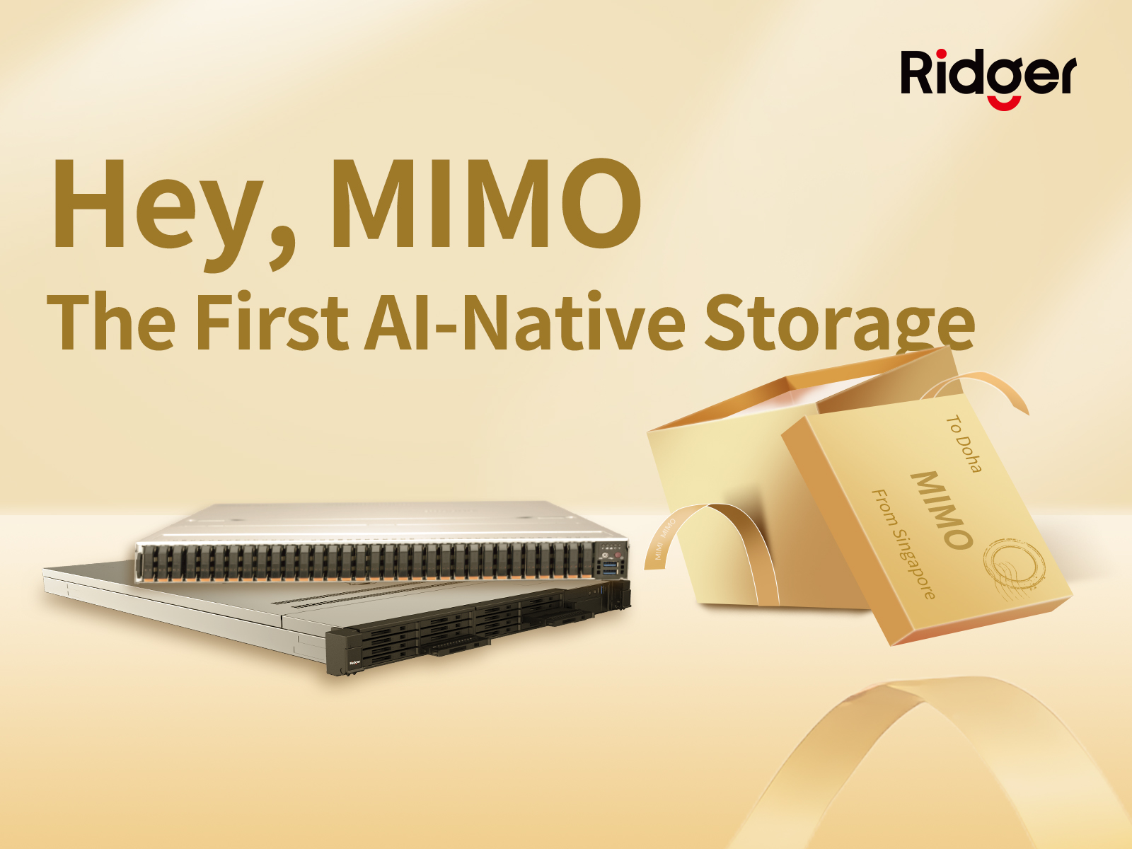 MIMO-PR-Large