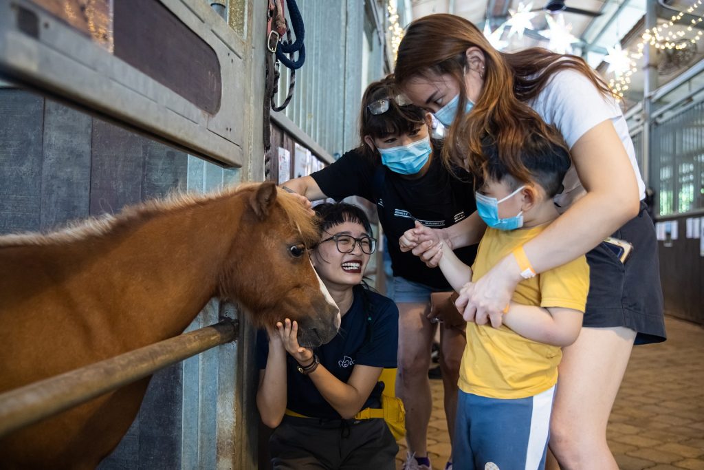 EQUAL Brings Back “Christmas at the Stables” for a Heartwarming Weekend with Therapy Horses - Alvinology