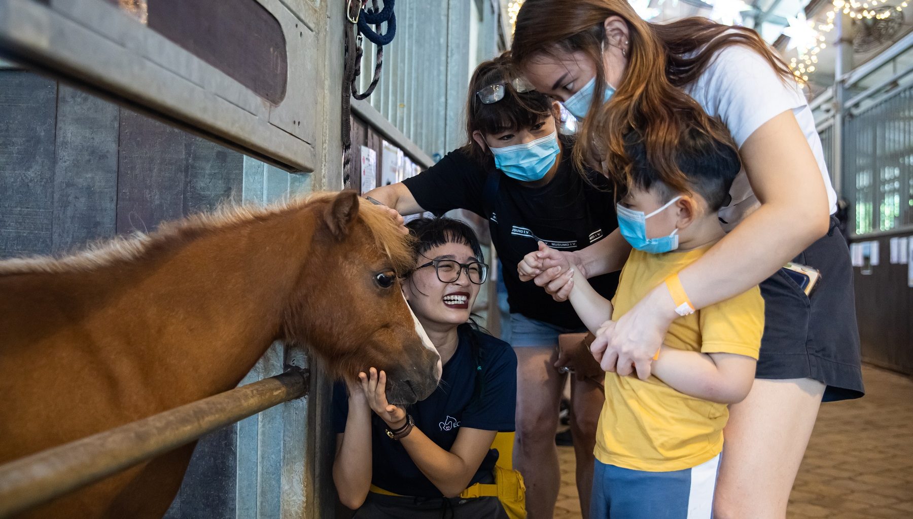 EQUAL Brings Back “Christmas at the Stables” for a Heartwarming Weekend with Therapy Horses - Alvinology