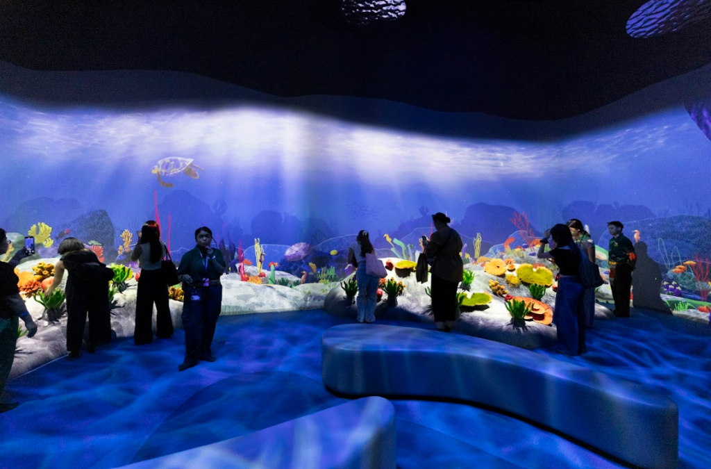 A Wild New World of Indoor Adventure: Curiosity Cove Opens at Mandai A Wild New World of Indoor Adventure: Curiosity Cove Opens at Mandai - Alvinology