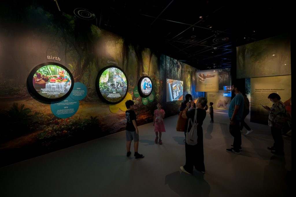 Curiosity Cove Opens at Mandai as Singapore's Largest Indoor Nature Playground Curiosity Cove Opens at Mandai as Singapore's Largest Indoor Nature Playground - Alvinology
