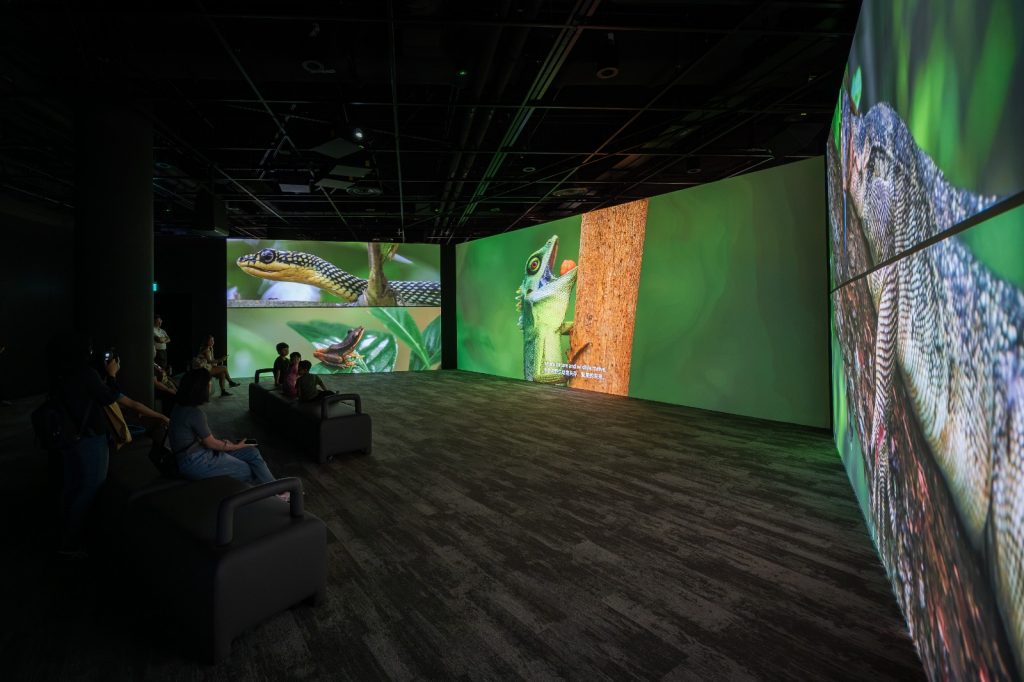 Curiosity Cove Opens at Mandai as Singapore's Largest Indoor Nature Playground Curiosity Cove Opens at Mandai as Singapore's Largest Indoor Nature Playground - Alvinology