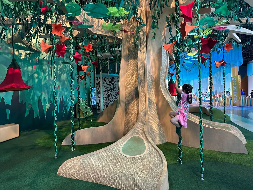 Curiosity Cove Opens at Mandai as Singapore's Largest Indoor Nature Playground Curiosity Cove Opens at Mandai as Singapore's Largest Indoor Nature Playground - Alvinology