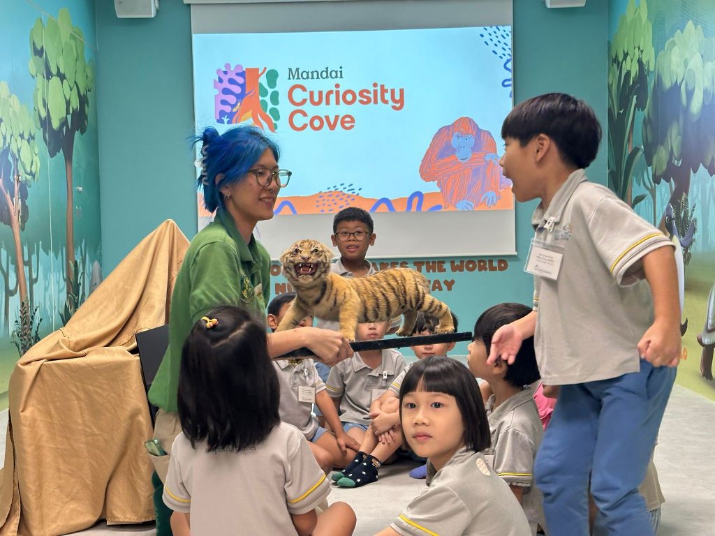 Curiosity Cove Opens at Mandai as Singapore's Largest Indoor Nature Playground Curiosity Cove Opens at Mandai as Singapore's Largest Indoor Nature Playground - Alvinology