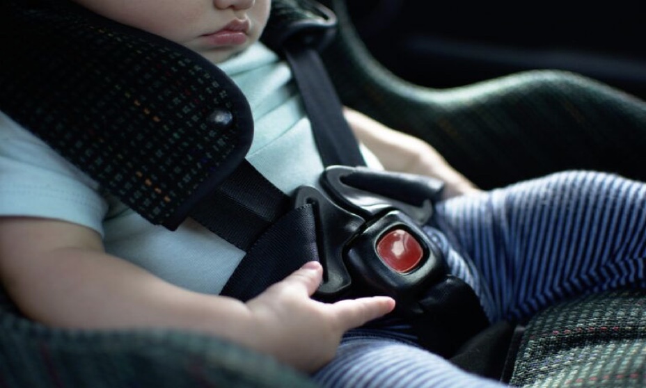 What Are the Risks of Letting Young Children Sit in the Front Seat? - Alvinology