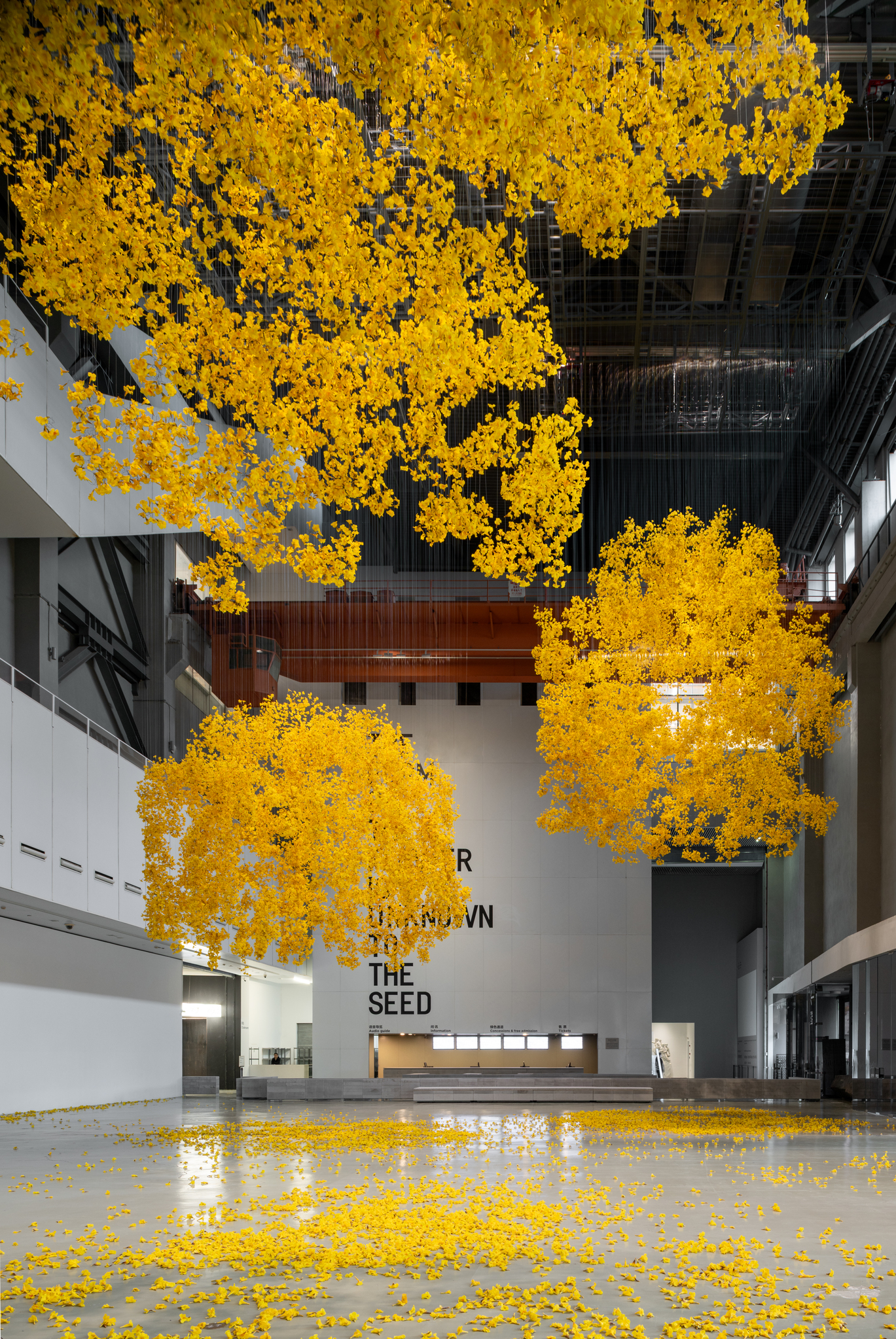Allora & Calzadilla, "Penumbra and Phantom Forest" at the 15th Shanghai Biennale, "Does the flower hear the bee?", 2025, Power Station of Art. ©Allora & Calzadilla. Courtesy of the artist, Lisson Gallery, Galerie Chantal Crousel, and Kurimanzutto. Image courtesy of Power Station of Art.