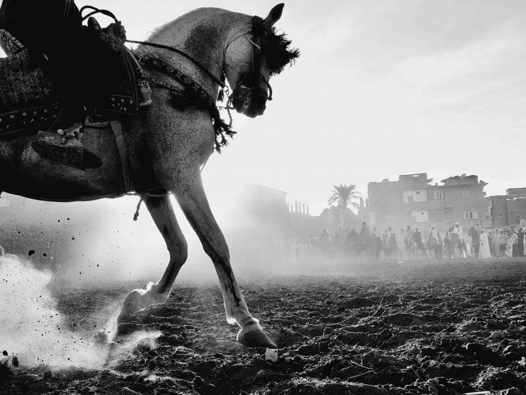 OPPO Celebrates Global Winners of the 2025 Photography Awards, Showcasing “Super Every Moment” - Alvinology