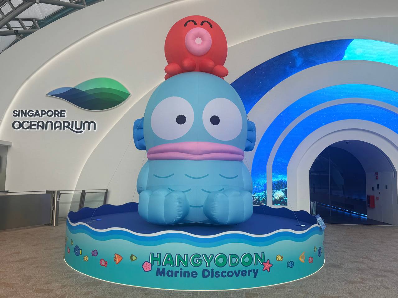 Hangyodon Makes a Splash in Singapore Oceanarium With Photo Spots, Exclusive Merchandise and Treats - Alvinology