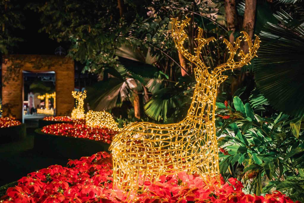 Christmas Wonderland 2025 Opens with Biggest Edition Yet at Gardens by the Bay - Alvinology