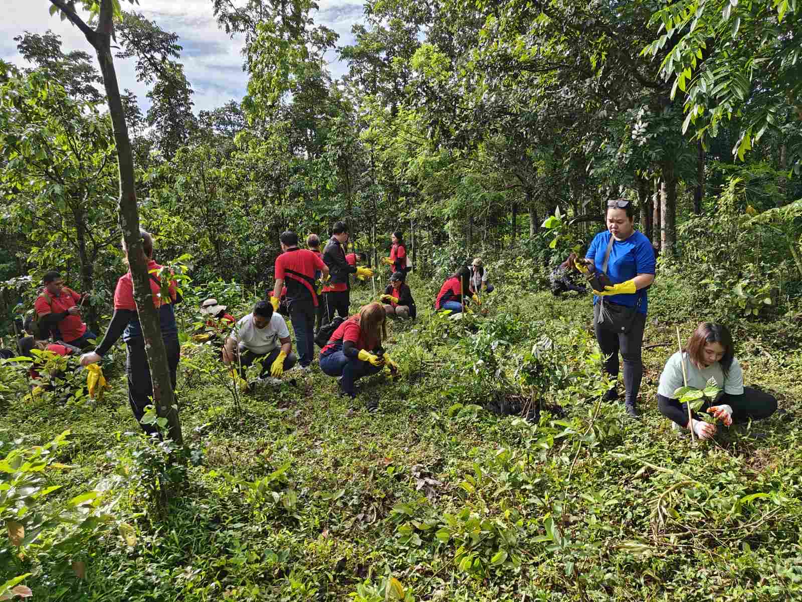 Jollibee Group Earns BBB MSCI ESG Rating, Reinforcing Global Sustainability Performance Upgraded ESG Rating. The Jollibee Group has received an upgraded MSCI ESG Rating of BBB, recognizing the Group’s continued progress in integrating environmental, social, and governance practices across its operations under its ‘Joy for Tomorrow’ sustainability agenda.