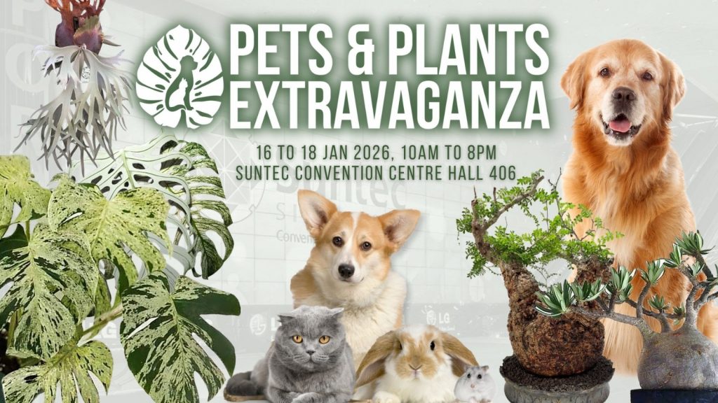 Pets & Plants Extravaganza 2026 Returns with a Stylish Celebration of Pets and Rare Green Finds - Alvinology