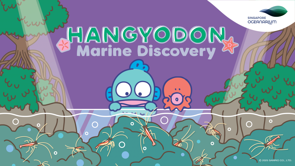 Hangyodon Makes a Splash in Singapore Oceanarium With Photo Spots, Exclusive Merchandise and Treats - Alvinology