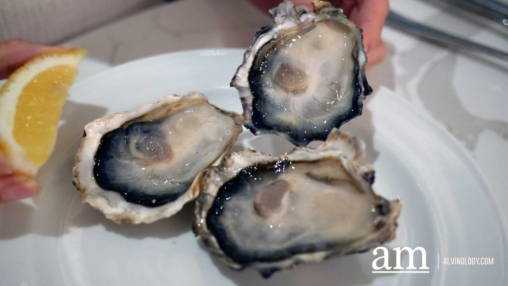 [Review] A Curated Christmas Feast with All the Festive Essentials at Element, Amara Singapore - Alvinology