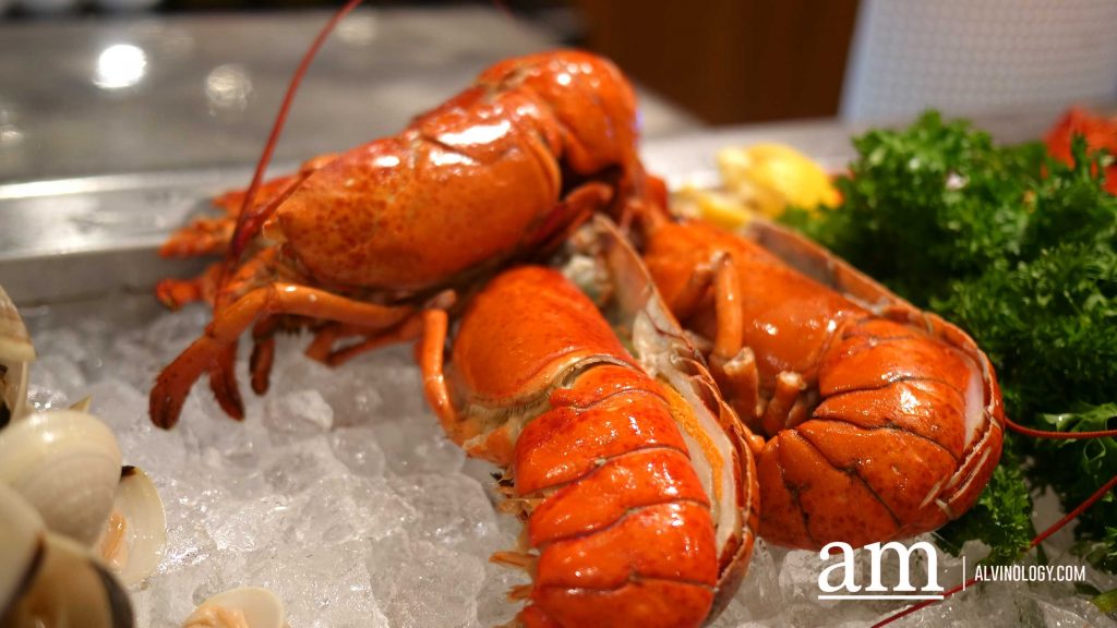[Review] A Curated Christmas Feast with All the Festive Essentials at Element, Amara Singapore - Alvinology