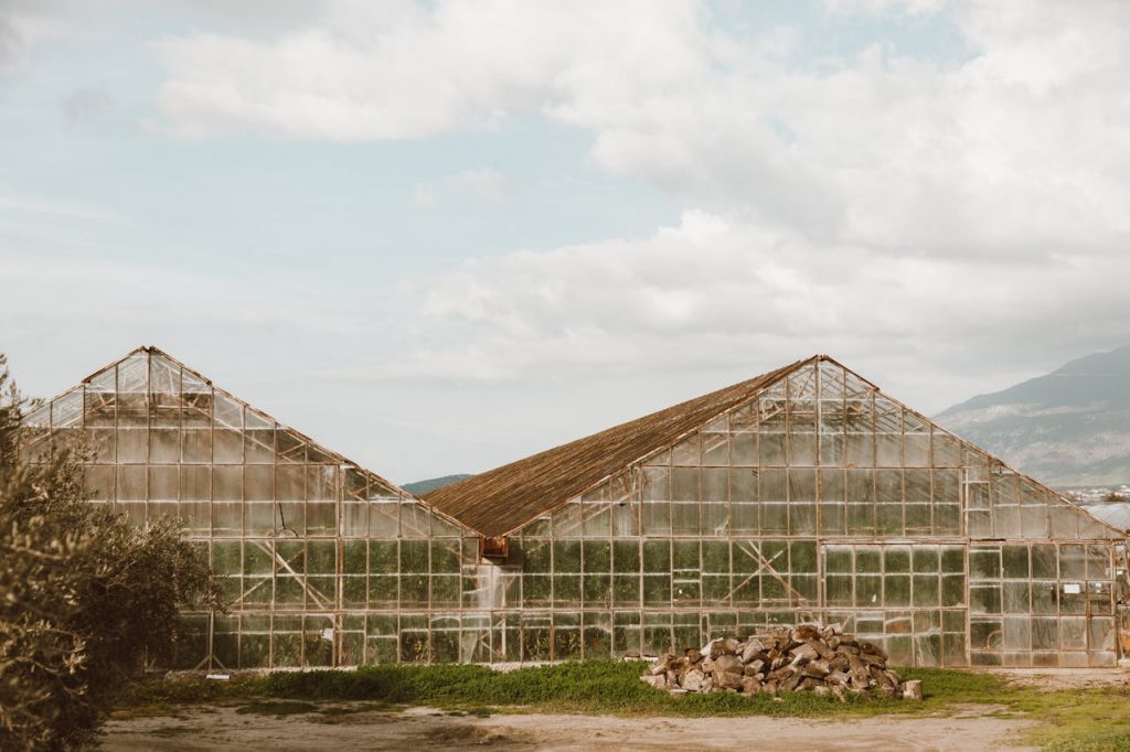 Key Advantages Of Using Greenhouses For Reliable Plant Development - Alvinology