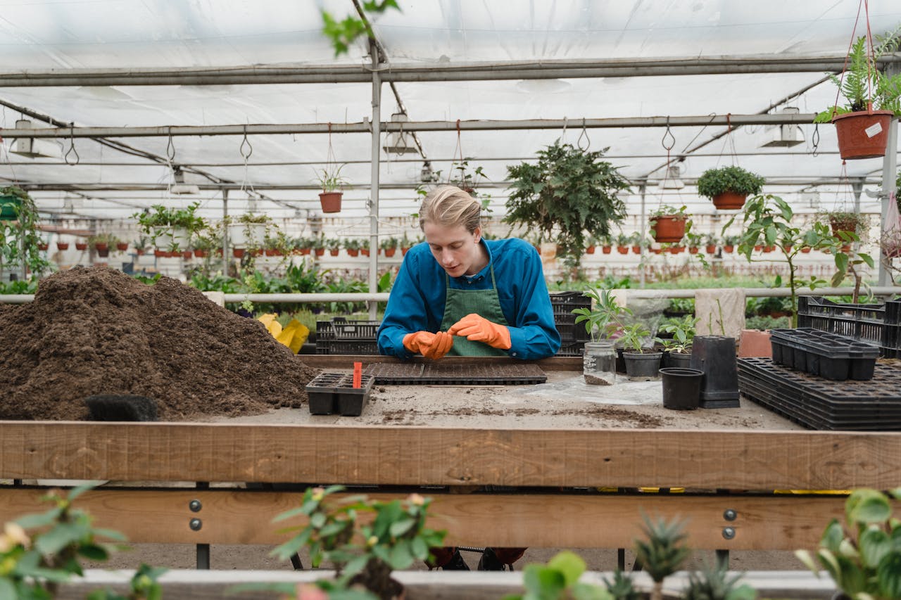 Key Advantages Of Using Greenhouses For Reliable Plant Development - Alvinology