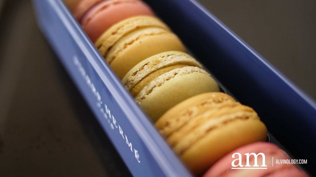 Pierre Hermé's First Singapore Christmas Collection Dives Into Coral Reefs - Alvinology