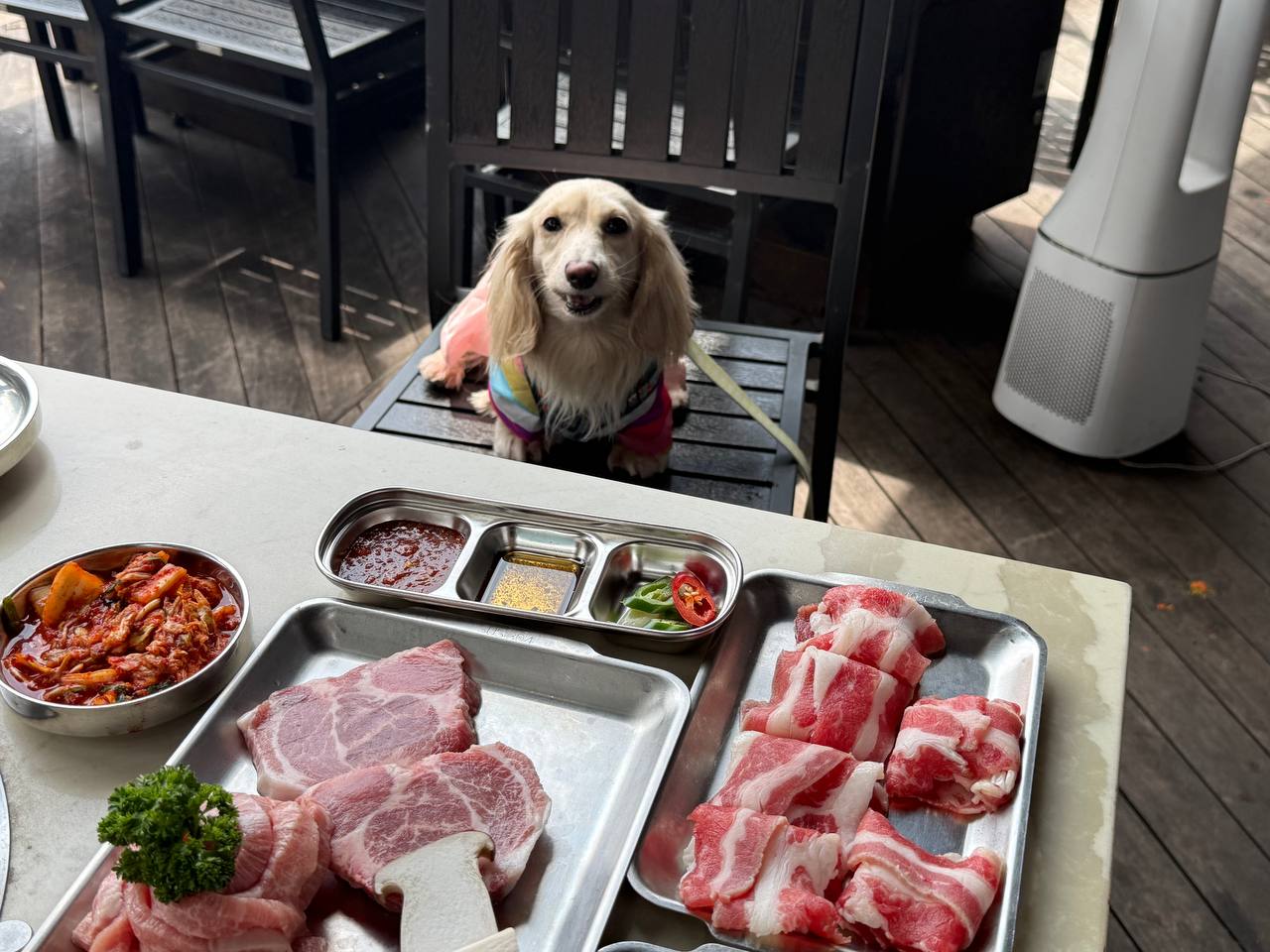Dining at OMMA: A Pet-Friendly Korean BBQ Experience in the Heart of Holland Village - Alvinology