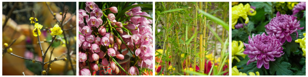 Gardens by the Bay Welcomes the Year of the Horse with a Majestic Chinese New Year Floral Display - Alvinology