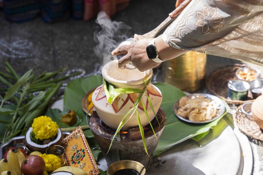 Celebrate Community and Culture at the Indian Heritage Centre’s Pongal Open House 2026 - Alvinology