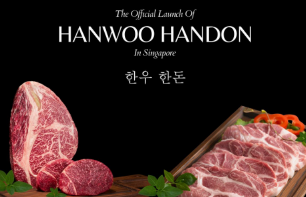 Tasting Korea’s Finest: Hanwoo Beef and Handon Pork Arrive in Singapore - Alvinology