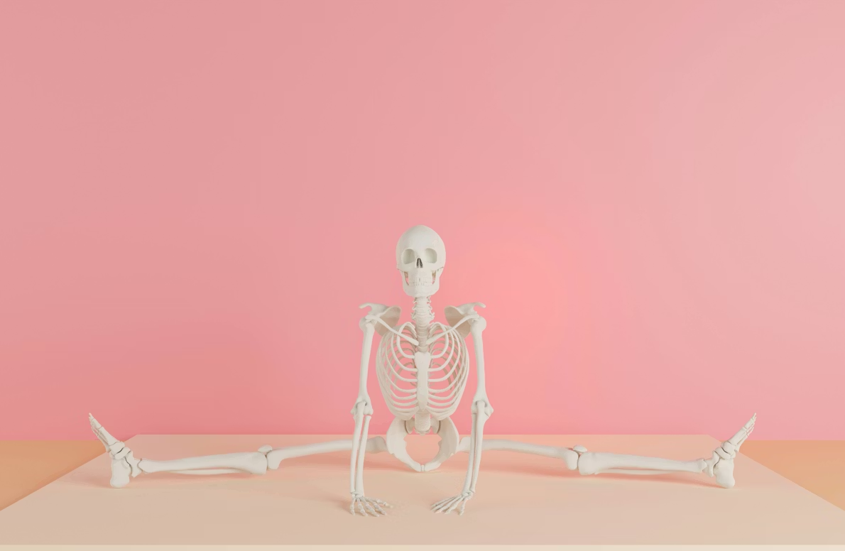 Essential Facts About Anatomical Position for Every Anatomy Buff - Alvinology