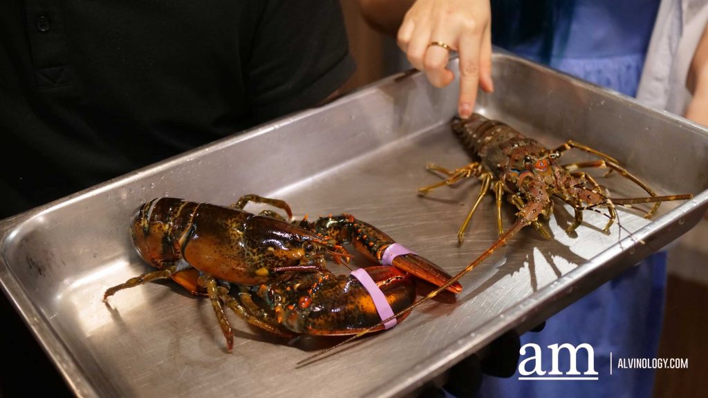 [Review] Celebrate CNY 2026 with Orchid Live Seafood's Set Menu From $488, Featuring Tank-to-Table Freshness Assorted Lobster Dishes - Alvinology