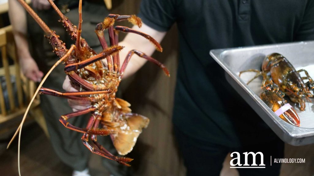 [Review] Celebrate CNY 2026 with Orchid Live Seafood's Set Menu From $488, Featuring Tank-to-Table Freshness Assorted Lobster Dishes - Alvinology