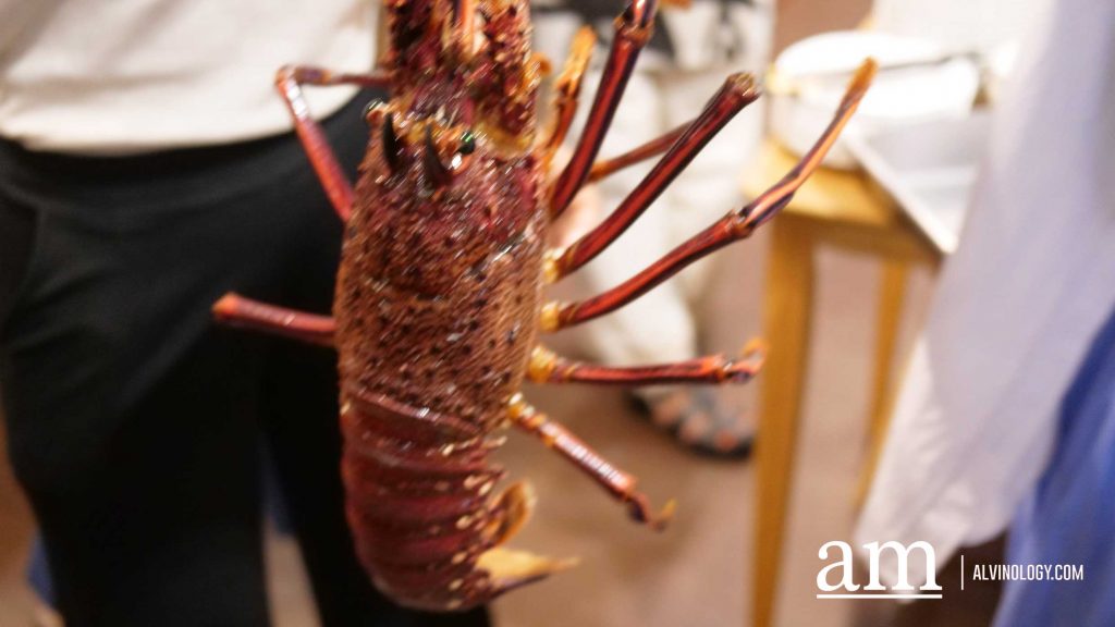 [Review] Celebrate CNY 2026 with Orchid Live Seafood's Set Menu From $488, Featuring Tank-to-Table Freshness Assorted Lobster Dishes - Alvinology