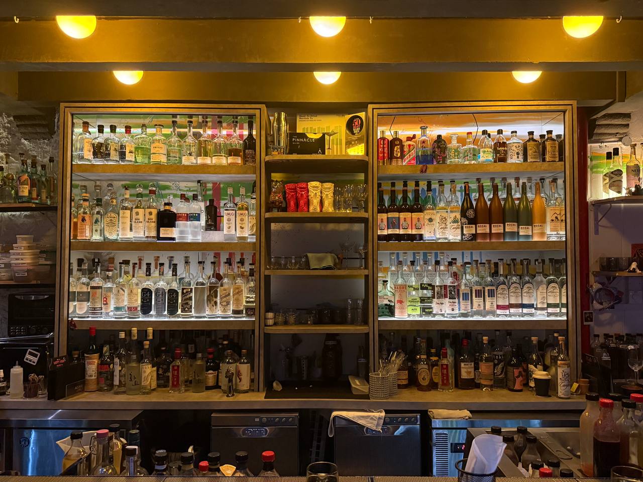 Step Inside Singapore’s Purrfectly Hidden Bar: Cat Bite Club - Alvinology