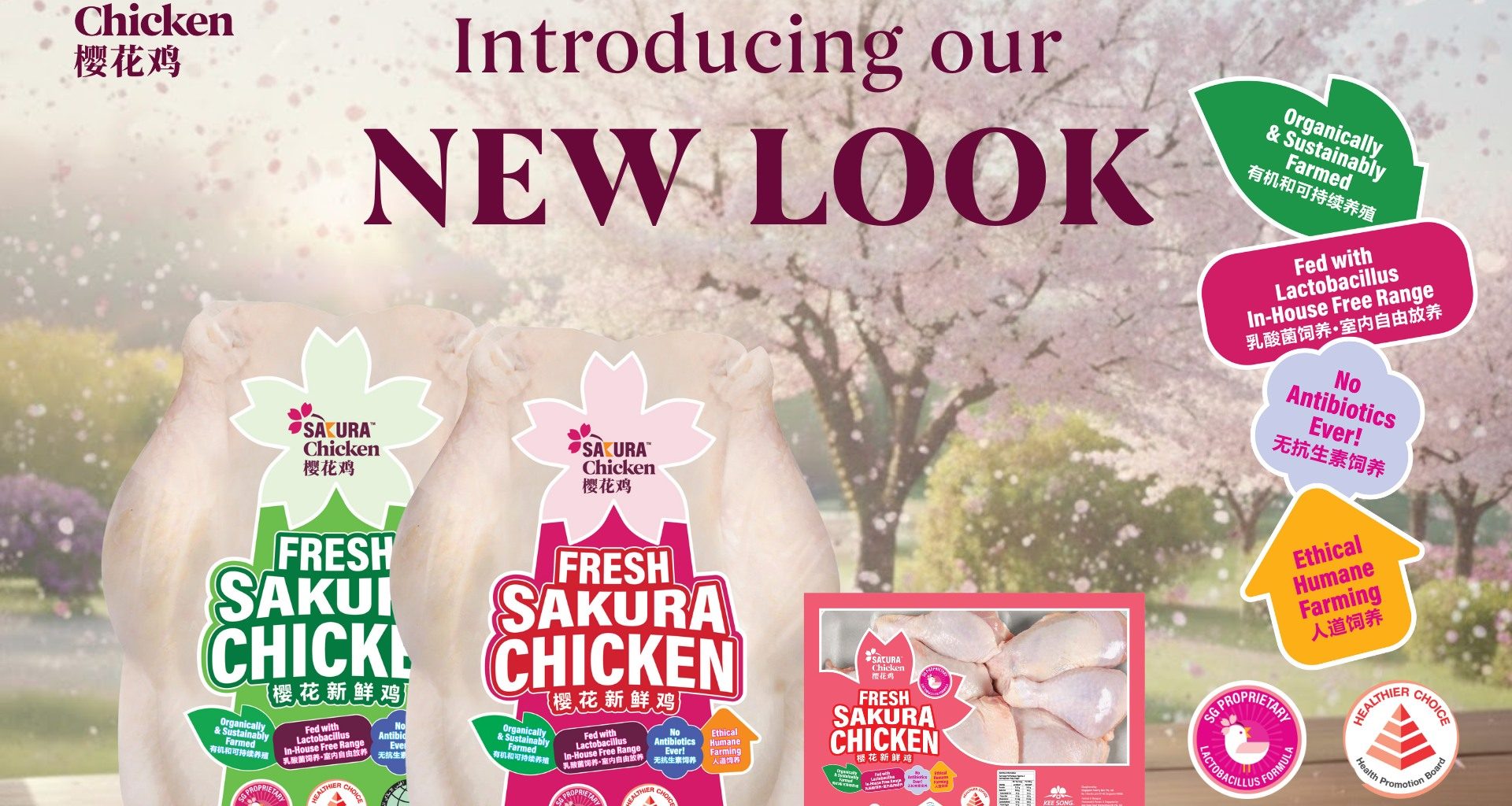 Sakura Chicken Refreshes Its Look and Brings Festive Rewards to CNY Shoppers - Alvinology