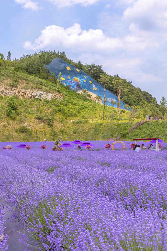 Korea Travel Fair 2026 Returns to Singapore with Star-Studded Line-Up and Immersive K-Culture Experiences Korea Travel Fair 2026 Returns to Singapore with Star-Studded Line-Up and Immersive K-Culture Experiences - Alvinology