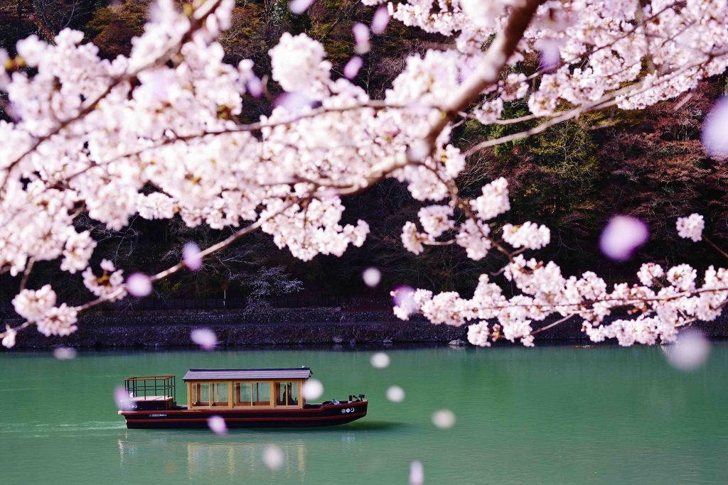 Hoshino Resorts Unveils 2026 Sakura Stays Across Japan as Cherry Blossom Season Arrives Early - Alvinology