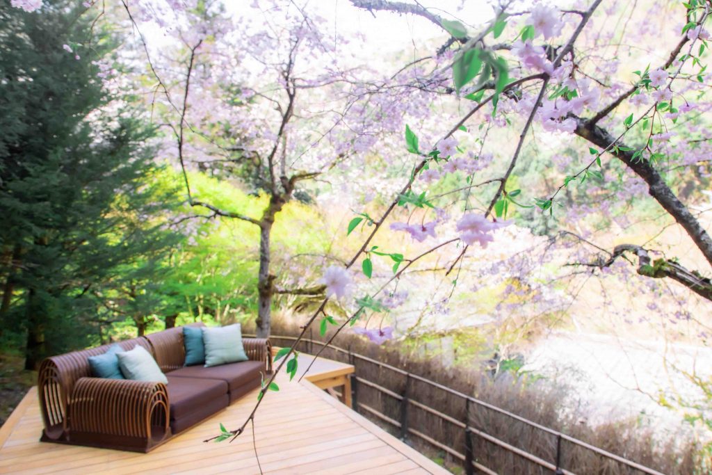 Hoshino Resorts Unveils 2026 Sakura Stays Across Japan as Cherry Blossom Season Arrives Early - Alvinology
