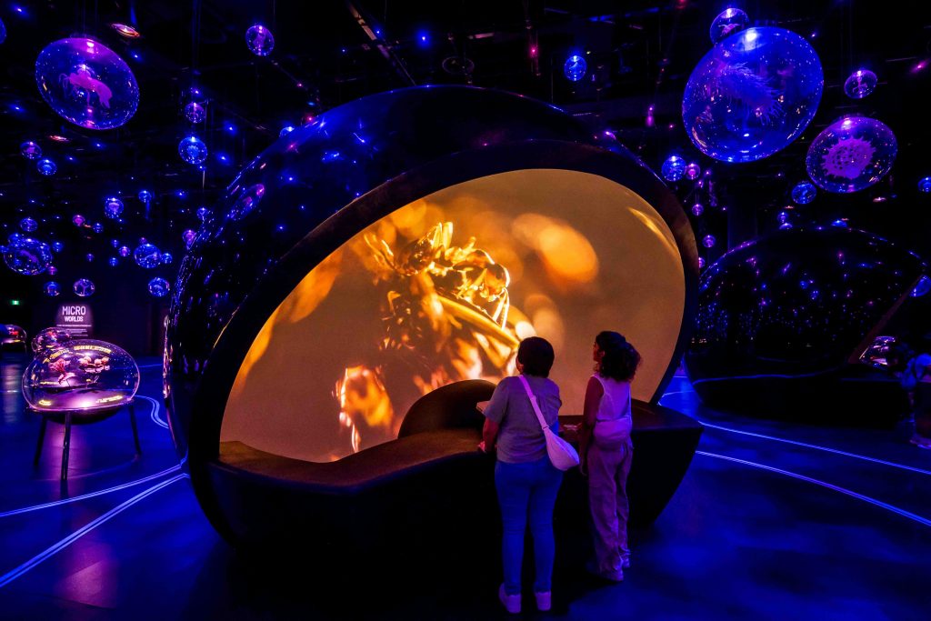 Exploria to Open at Mandai Wildlife Reserve in March 2026 as One of Southeast Asia’s Largest Indoor Nature Multimedia Attractions Exploria to Open at Mandai Wildlife Reserve in March 2026 as One of Southeast Asia’s Largest Indoor Nature Multimedia Attractions - Alvinology