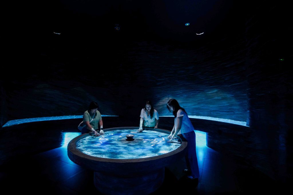 Exploria to Open at Mandai Wildlife Reserve in March 2026 as One of Southeast Asia’s Largest Indoor Nature Multimedia Attractions Exploria to Open at Mandai Wildlife Reserve in March 2026 as One of Southeast Asia’s Largest Indoor Nature Multimedia Attractions - Alvinology