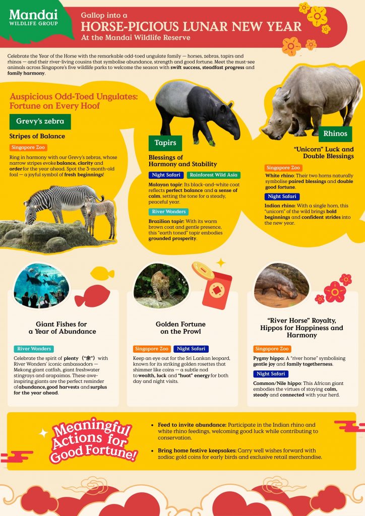A Wildly “Horse-Picious” Lunar New Year at Mandai Wildlife Reserve - Alvinology