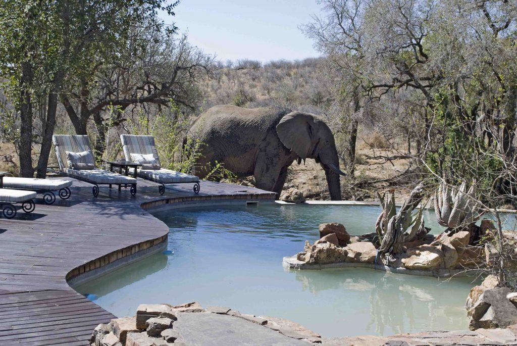 South Africa Woos Singapore Travellers and Investors with Growing Tourism Appeal - Alvinology